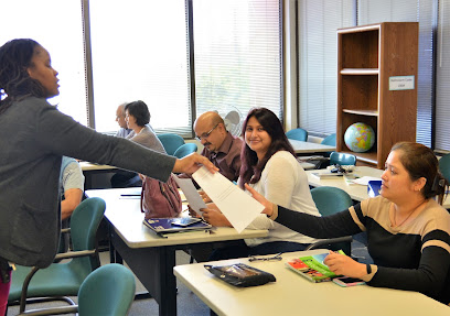 American Learning Institute