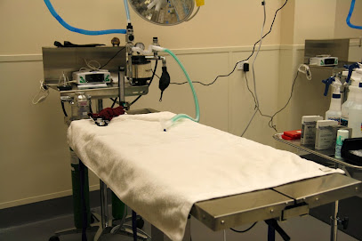 SPCA of Texas' Myron K. Martin Spay/Neuter & Wellness Clinic