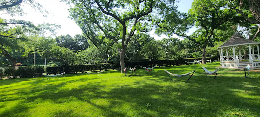 Pecan Grove