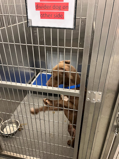 Dallas Animal Services