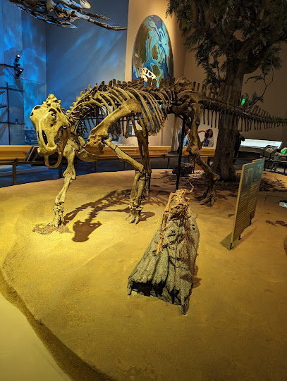 Perot Museum Lot C