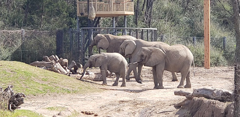 Simmons Safari Base Camp