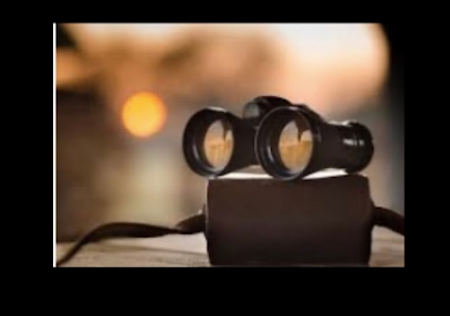 Binocular Affairs Private Investigation