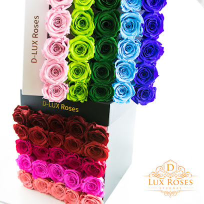 DLux Roses
