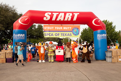 Strut Your Mutt - The Race to End Animal Cruelty